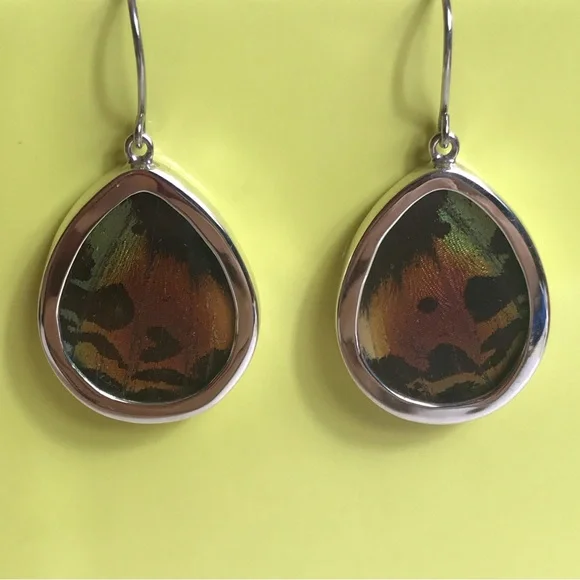 Real Butterfly Wing Earrings Sterling Silver Handmade Jewelry Oval Teardrop - Picture 7 of 9